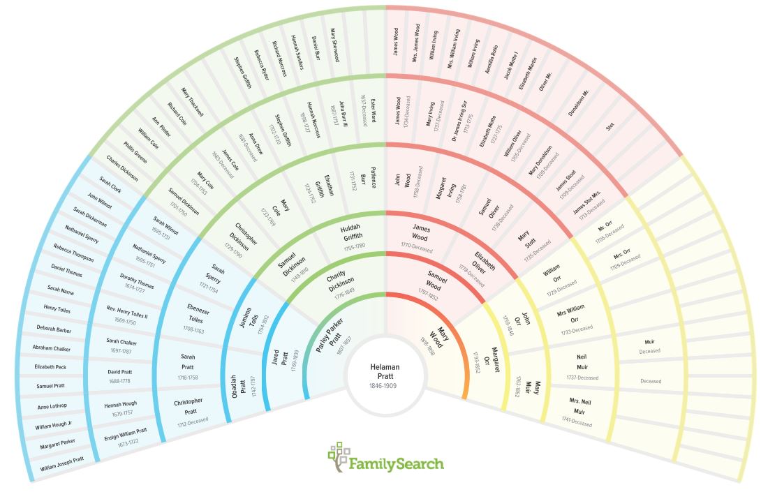 Genealogy Fan Chart 5 Generations - SlideModel
